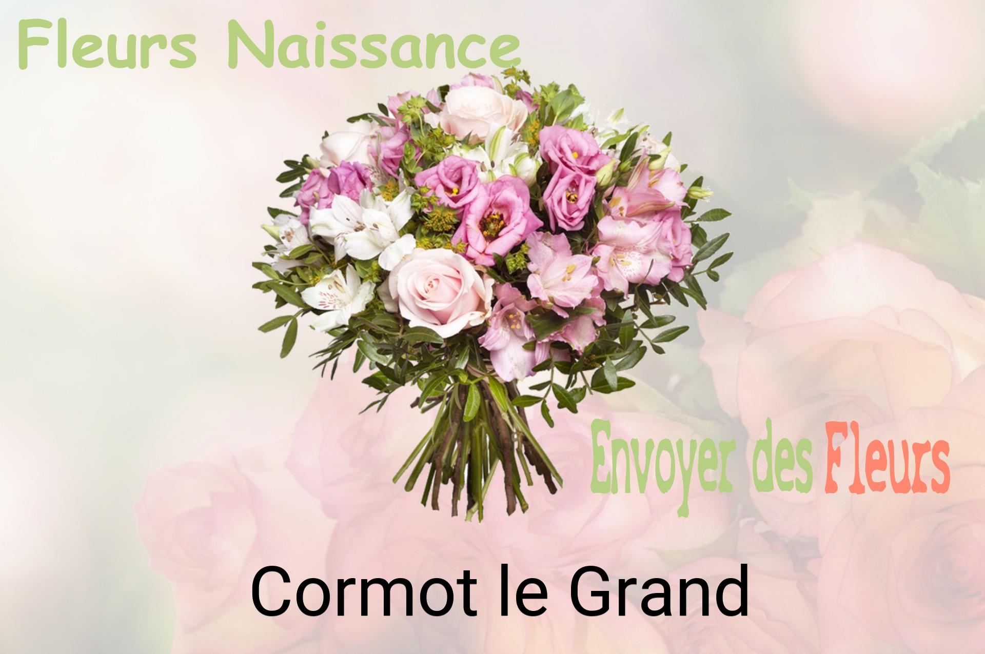 Bouquet de fleurs de naissance livré à Cormot-le-Grand